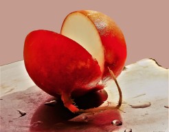 ´Zonder betekenis´