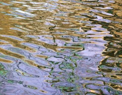Ripples X