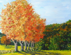 Zomerse herfstdag in de Lubéron