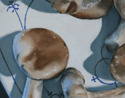 Shiitakes op Blau Saks (2021)