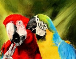 Parrot love