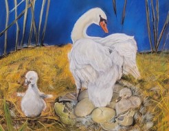 Moeder zwaan met kuikens