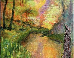 Nazomeravond in het bos