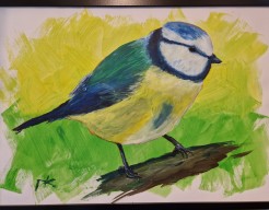 birt 1/2 (pimpelmees)