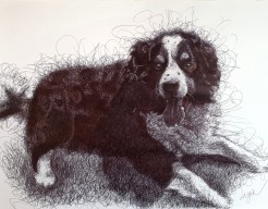 Portret van een hond