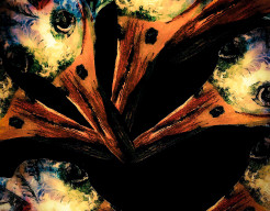 Vogels met gekleurde veren 