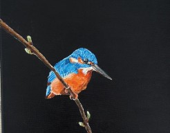 Little bird king fisher