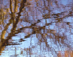 Reflection V