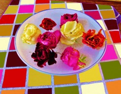 "Natuurlijke Harmonie"