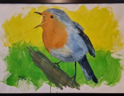 birt 2/2 (roodborstje)