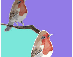 Roodborstje in kleur