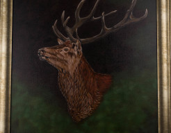 De rivalen tweeluik (deel 2)