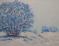 Sneeuwbui in de Korte Duinen