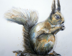 Eekhoorntje