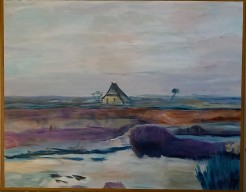 Omgeving Emmen "Nieuw Amsterdam" 