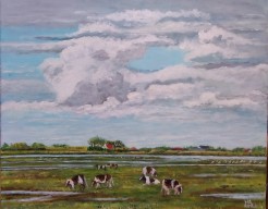 78. Plan tureluur , Zeeland