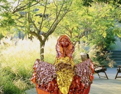 "Ship of Souls", sailing for a more humane world.