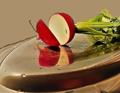 "Reflecties van Versheid"