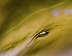 Vloeiend zand - fotografie