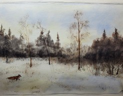 Vos op zoek naar prooi / Fox looking for prey