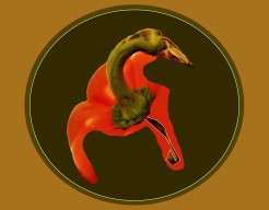 ´Paprika vermomd als wilde gans´