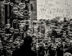 world in a bubble