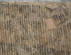 A real rain will come