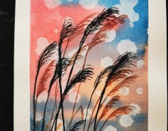 Zo de wind waait, waaien de pluimen