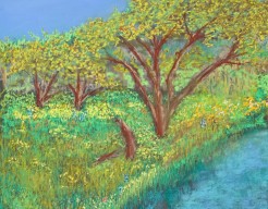 Een zomers landschap