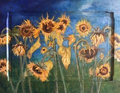 15. Uitgebloeide zonnebloemen