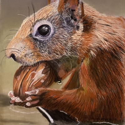 Charlotte Blotenburg