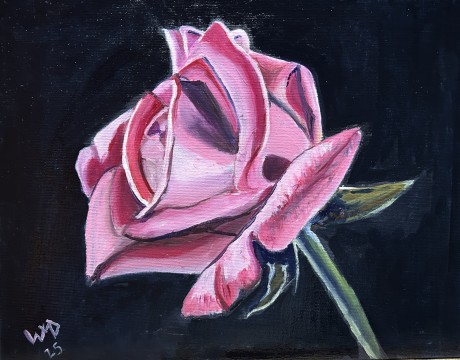 A Rose is just a Rose