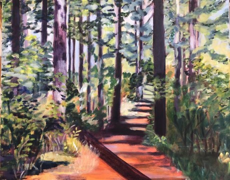 Het bos bij Haamstede