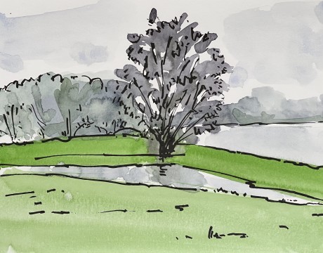 Landschap met water en boom