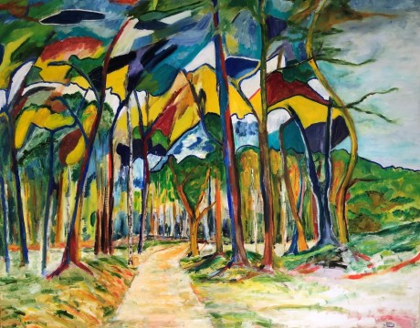 Impressie Drouwenerzand (8)