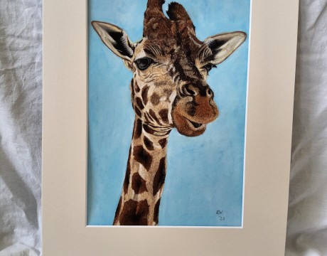Giraffe