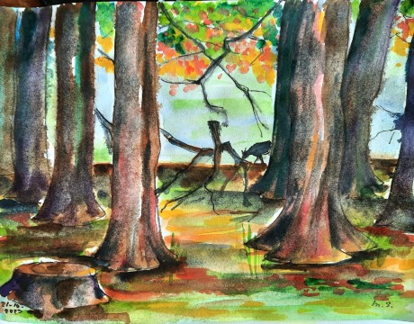 Herfstlicht bij het Aardhuis