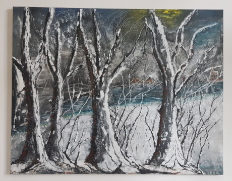 Winter in Noord-Brabant