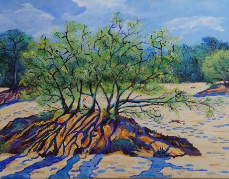 Soester Korte Duinen