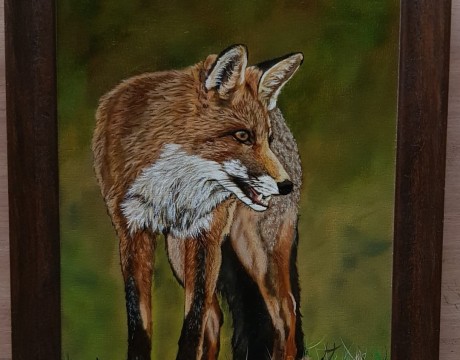 Vos op zoek naar prooi