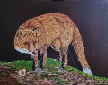 Vos op een boomstronk