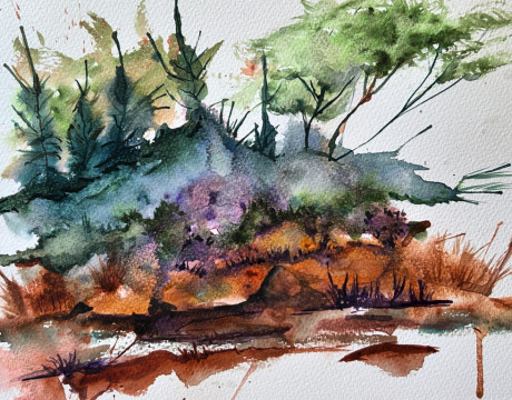 Happy accidents in the woods