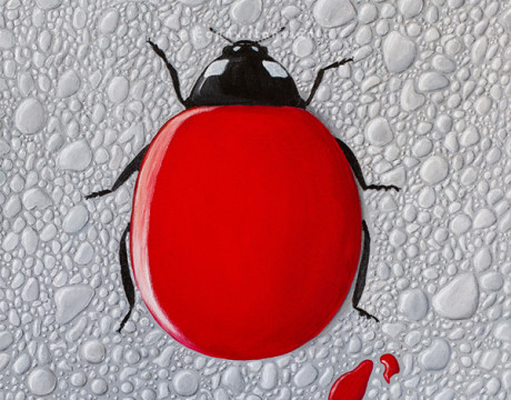 Lady Drop (handgeschilderd)