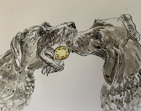 Deena en Catoo draadhaar