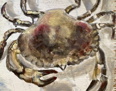 Westerschelde krab
