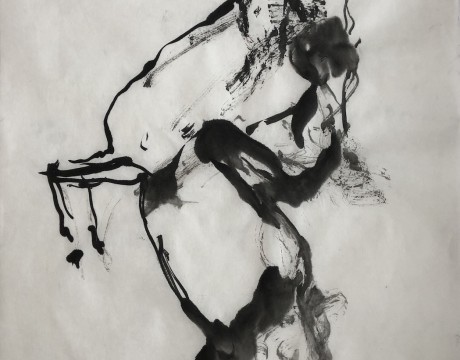 Steigerend paard in snelschets. 