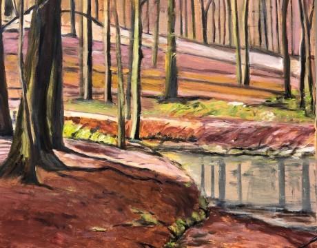 Wandelen in het  Nationaal Bos bij Den Dolder