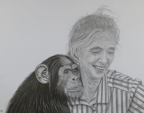 Jane Goodall 