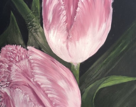 Roze tulpen