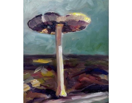 Op de vreemdste plekken